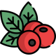 berries
